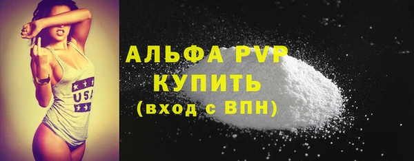 гашик Гусев