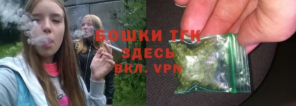 гашик Гусев