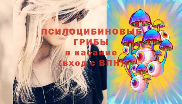 mdpv Гусь-Хрустальный