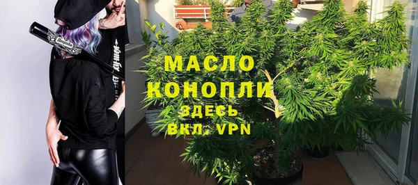 гашик Гусев