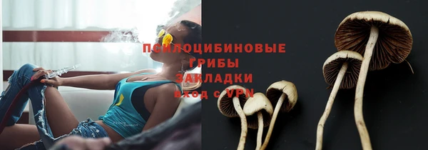 гашик Гусев