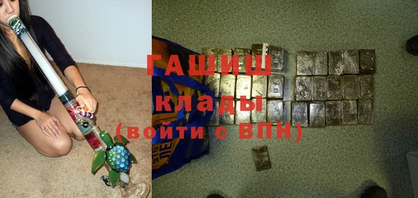 гашик Гусев