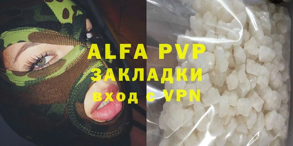 гашик Гусев