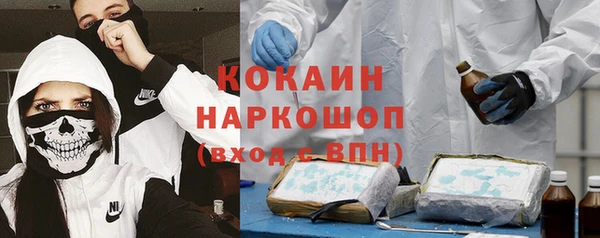 гашик Гусев