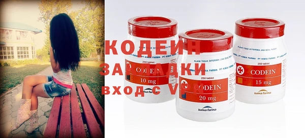гашик Гусев