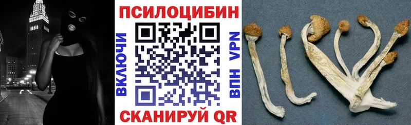 Галлюциногенные грибы ЛСД  наркота  mega ONION  Донской 